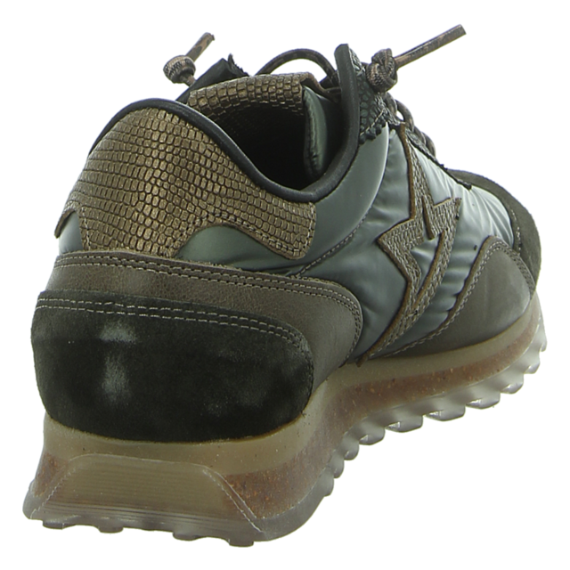 Cetti - C1259 SRA ANTE PIUMA KAKI - C-1259 SRA - grn-kombi - Sneaker