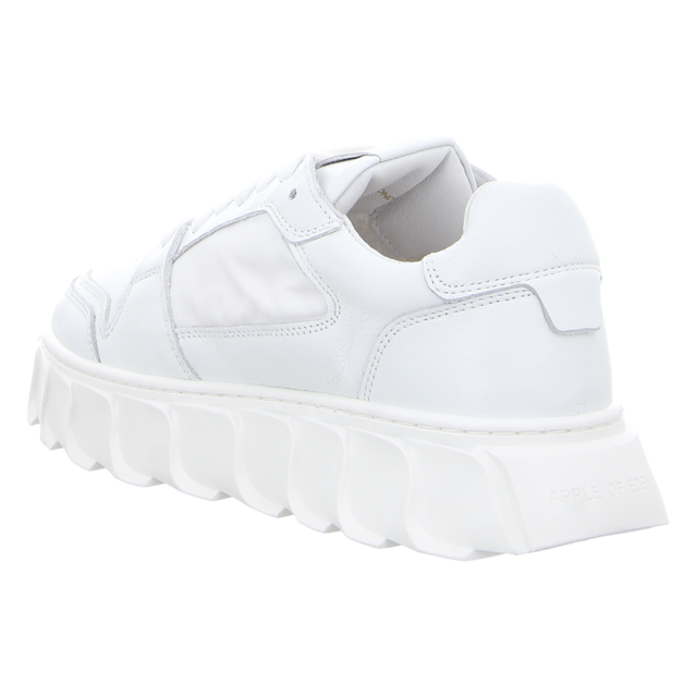 Apple of Eden - SS24-LONDON 2 WHITE - London 2 - white - Sneaker