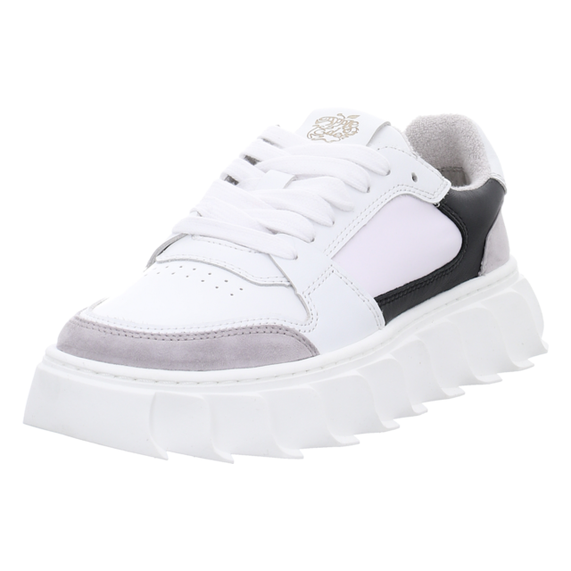 Apple of Eden - SS25-LONDON 12 L.GREY - London 12 - l.grey - Sneaker
