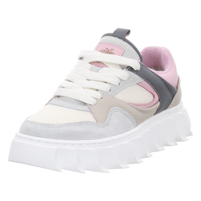 Apple of Eden - SS25-LIMA 14 DK GREY/L.PINK - Lima 14 - dk grey/l.pink - Sneaker