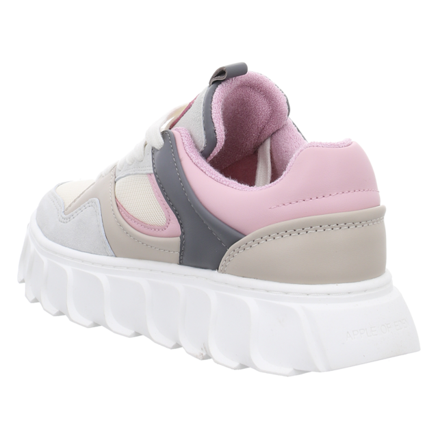 Apple of Eden - SS25-LIMA 14 DK GREY/L.PINK - Lima 14 - dk grey/l.pink - Sneaker