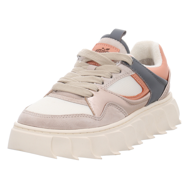 Apple of Eden - LIMA DARK GREY/LIGHT CHAMPAGNE - Lima - dark grey/light champagner - Sneaker