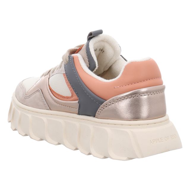 Apple of Eden - LIMA DARK GREY/LIGHT CHAMPAGNE - Lima - dark grey/light champagner - Sneaker