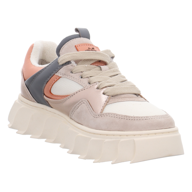 Apple of Eden - LIMA DARK GREY/LIGHT CHAMPAGNE - Lima - dark grey/light champagner - Sneaker
