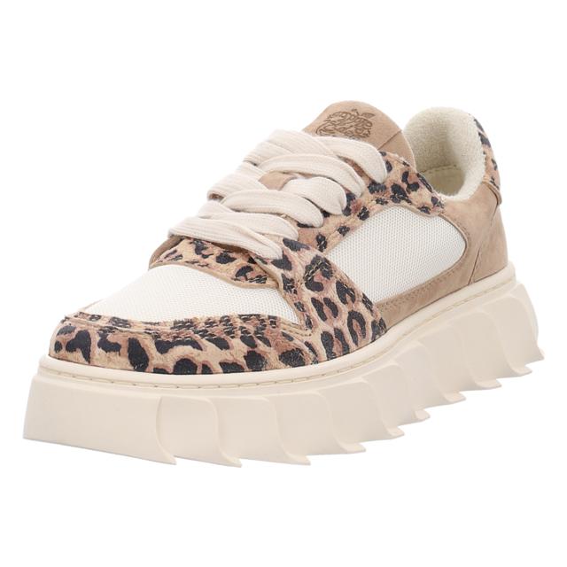 Apple of Eden - SS25-LONDON 31.1 LEO - London 31.1 - leo - Sneaker