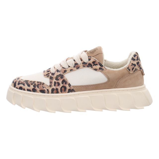 Apple of Eden - SS25-LONDON 31.1 LEO - London 31.1 - leo - Sneaker