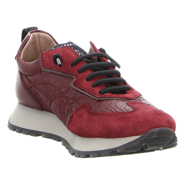 Hispanitas - HI254209 I25 WINE - Kansas - wine - Sneaker