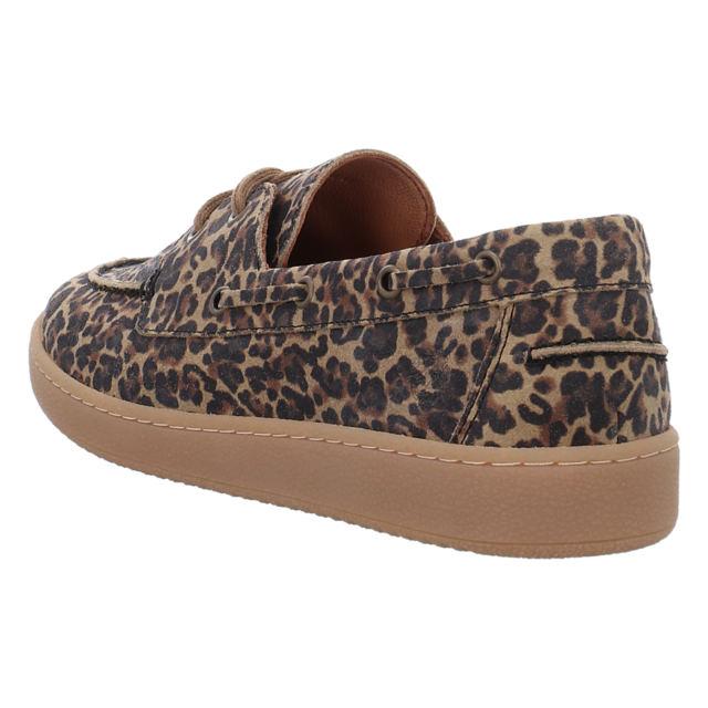 Apple of Eden - AMBAR LEO CIGAR - Ambar - leo cigar - Schn�rschuhe