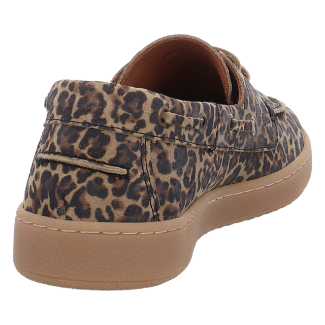 Apple of Eden - AMBAR LEO CIGAR - Ambar - leo cigar - Schn�rschuhe