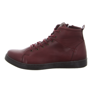 Stiefeletten - Andrea Conti - burgund/mokka