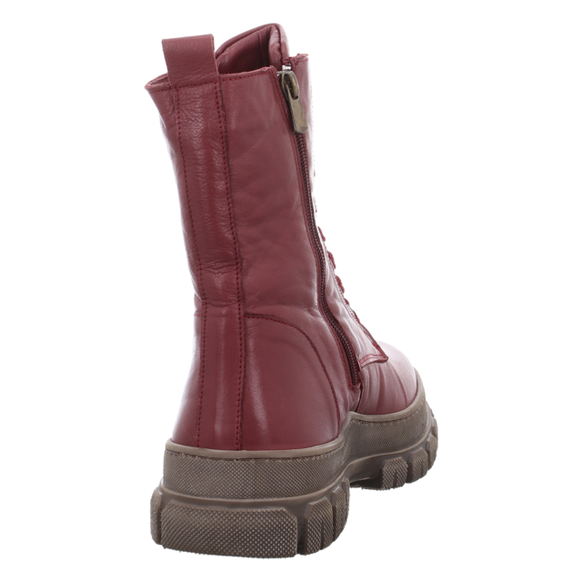 Andrea Conti - 0084800-582 - 0084800-582 - burgundy - Stiefeletten