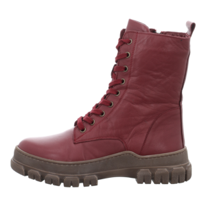 Stiefeletten - Andrea Conti - burgundy