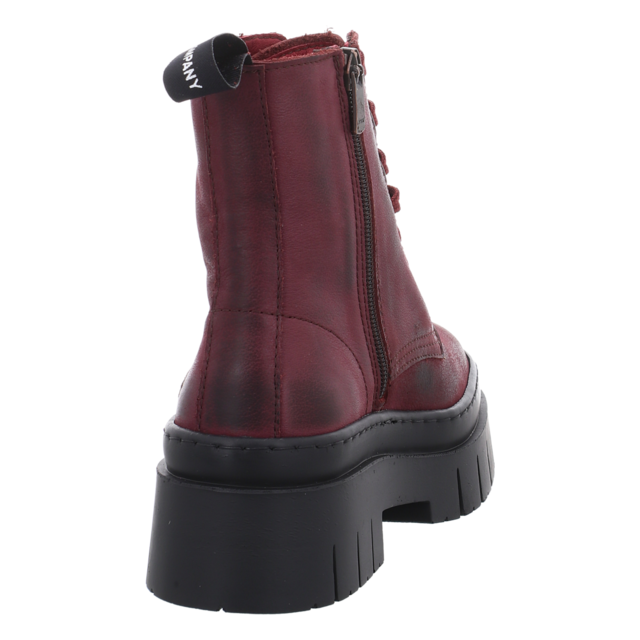 Art - 1953 BURDEOS - Amberes - burdeos - Stiefeletten