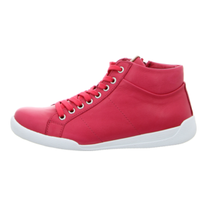 Stiefeletten - Andrea Conti - magenta/brandy