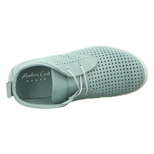 Andrea Conti Damen Sneaker in grün | SALE Schuhfachmann