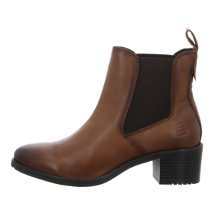 Stiefeletten - Bagatt - Ruby - cognac / dark brown