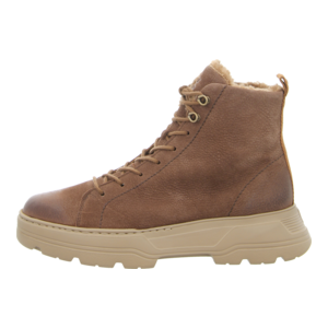 Stiefeletten - Paul Green - tabac