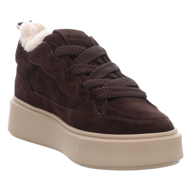 Mary & Co. - MC62AM03 MC DARK COFFE - MC62AM03 MC DARK COFFE - dark coffee - Stiefeletten