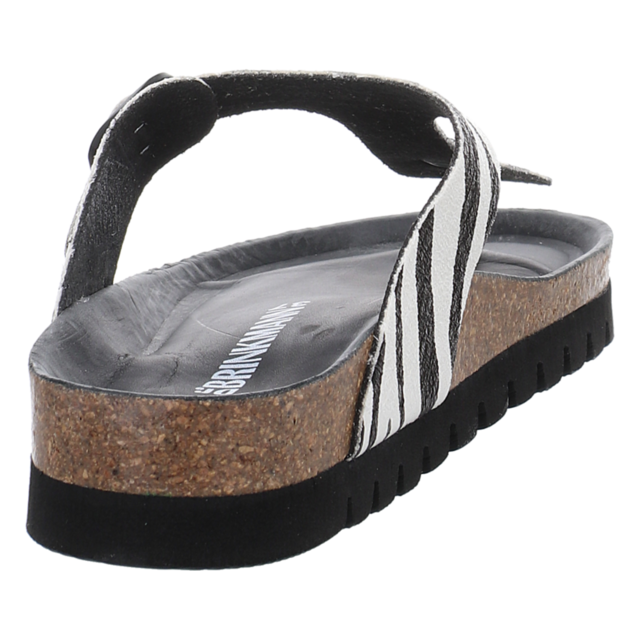 Dr. Brinkmann - 700908-00 - Pego - multi - Zehentrenner