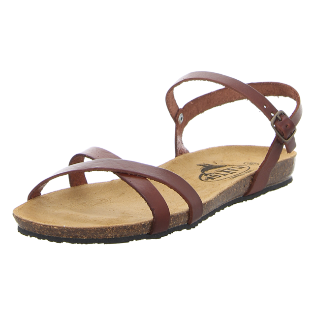 Plakton - 575029 CAMELLO - Mam Date - corcho/camello - Sandalen
