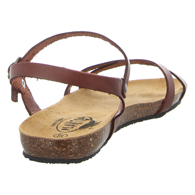 Plakton - 575029 CAMELLO - Mam Date - corcho/camello - Sandalen