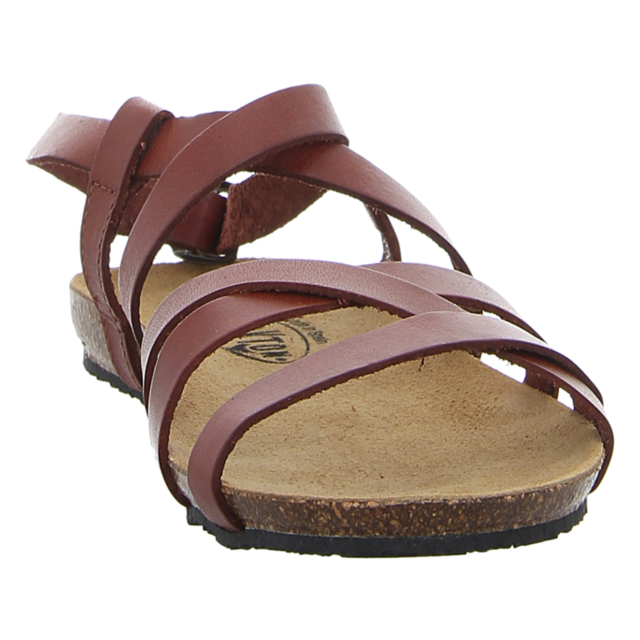 Plakton - 575184 CAMELLO - Mam Vali - braun - Sandalen