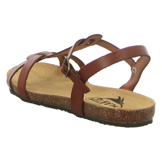 Plakton - 575412 CAMELLO - Mam Coco - camello - Sandalen