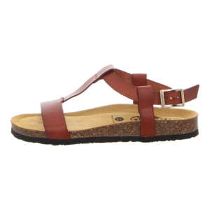 Sandalen - Plakton - Beta - cuero