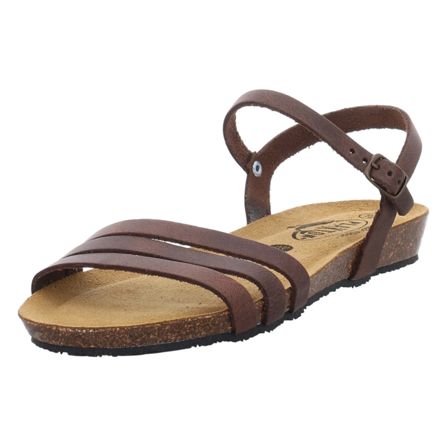 Plakton - 405080 DAKOTA COFFEE - Fran Alou - coffee - Sandalen
