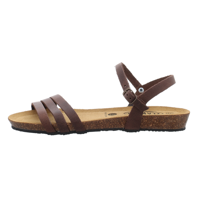 Plakton - 405080 DAKOTA COFFEE - Fran Alou - coffee - Sandalen