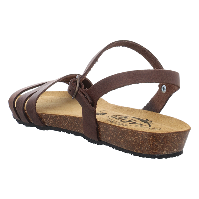 Plakton - 405080 DAKOTA COFFEE - Fran Alou - coffee - Sandalen