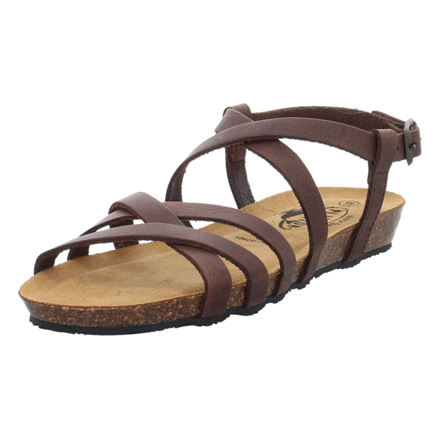 Plakton - 405184 DAKOTA COFFEE - Fran Vali - coffee - Sandalen