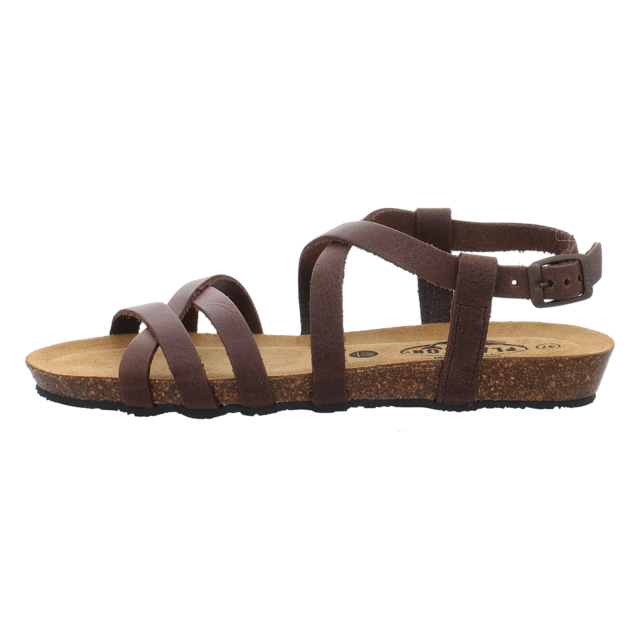 Plakton - 405184 DAKOTA COFFEE - Fran Vali - coffee - Sandalen