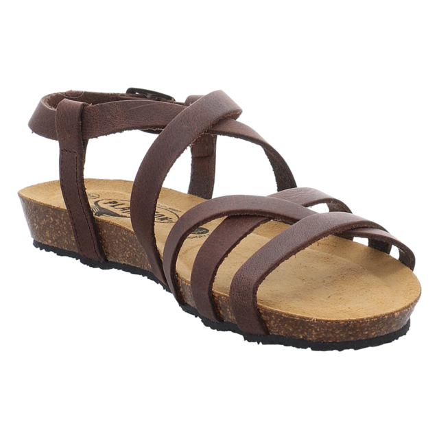 Plakton - 405184 DAKOTA COFFEE - Fran Vali - coffee - Sandalen