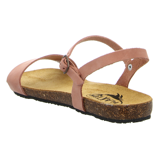 Plakton - 575725 MAQUILLAJE NOBUCK - Mam Ambo - maquillaje - Sandalen