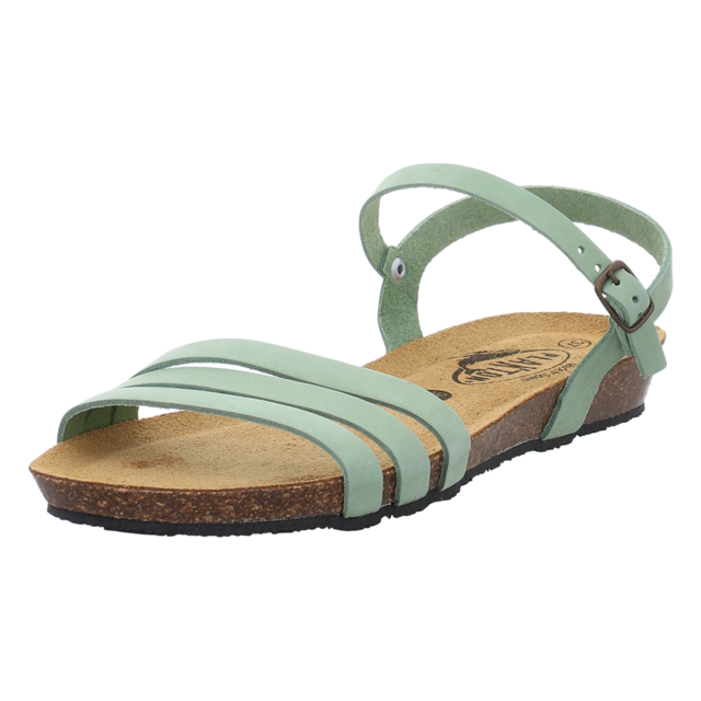 Plakton - 405080 NOBUCK SALVIA - Fran Alou - salvia - Sandalen