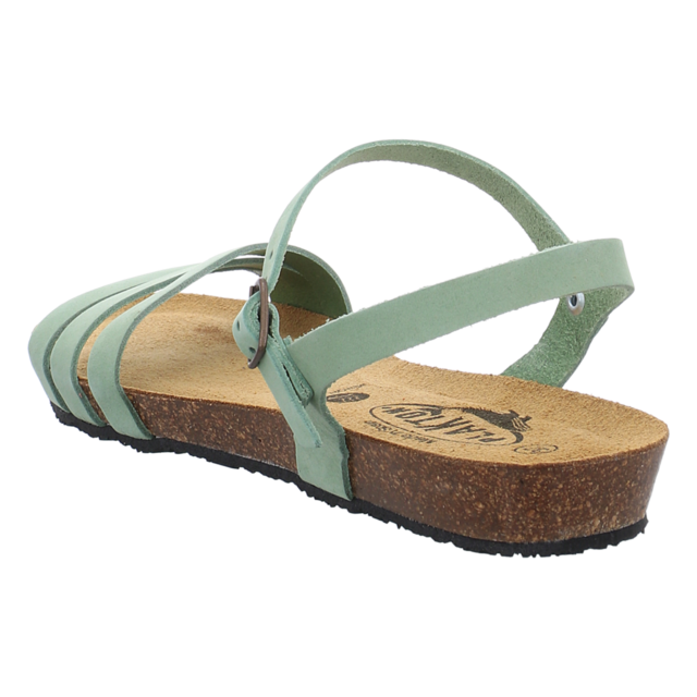 Plakton - 405080 NOBUCK SALVIA - Fran Alou - salvia - Sandalen