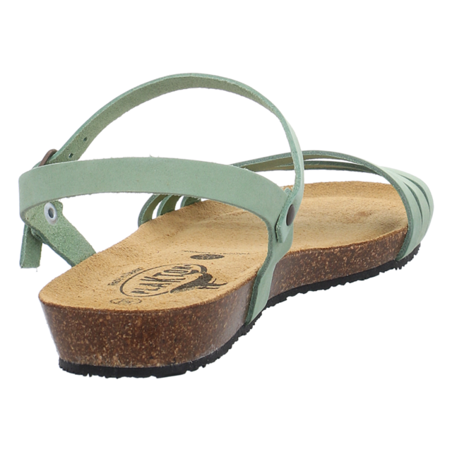 Plakton - 405080 NOBUCK SALVIA - Fran Alou - salvia - Sandalen