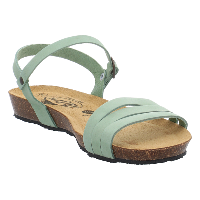 Plakton - 405080 NOBUCK SALVIA - Fran Alou - salvia - Sandalen