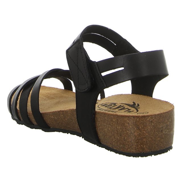 Plakton - 775897 NEGRO - Normandie - negro - Sandalen