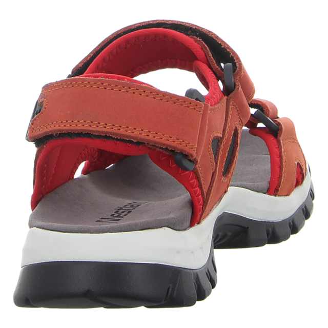 Westland - 25802-TE508401 - Avora 02 - rot-kombi - Sandalen